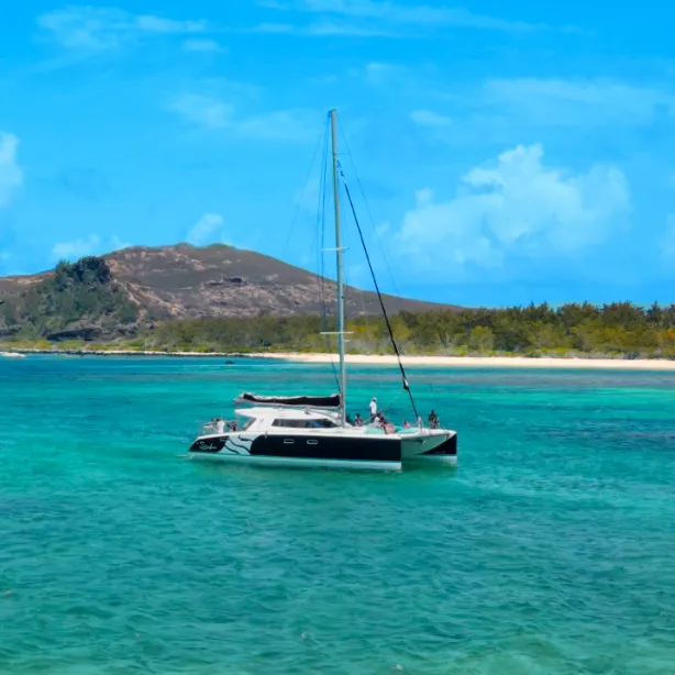 Catamaran Cruises