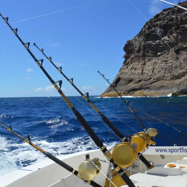 Fishing Trips