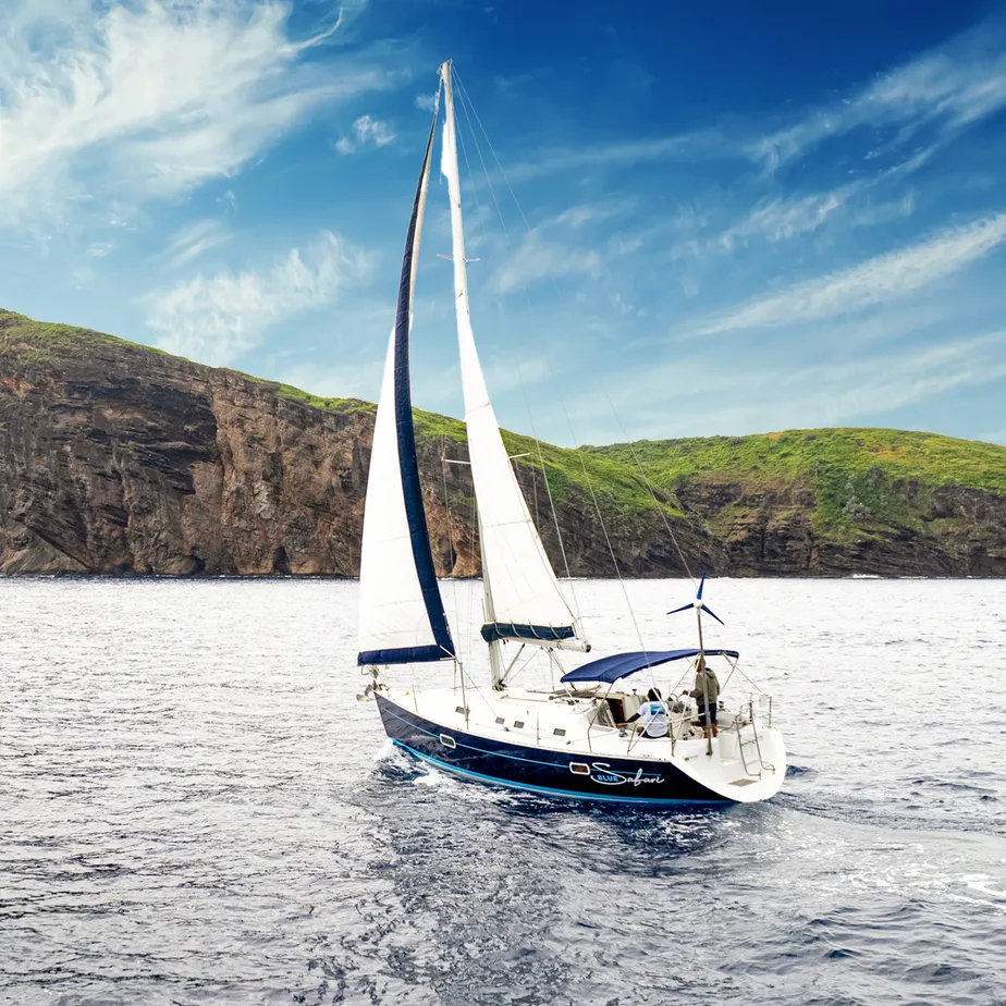 Sailing Cruises