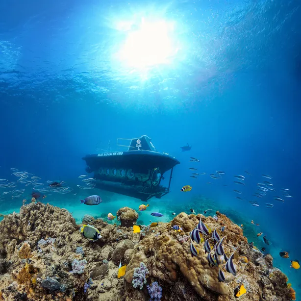 Submarine Excursions