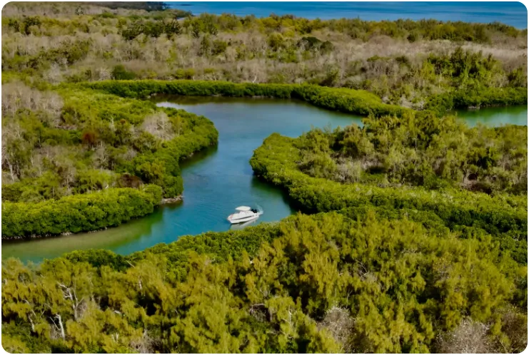 Blue Safari Speedboat