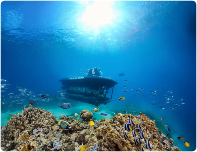 Blue Safari Submarine